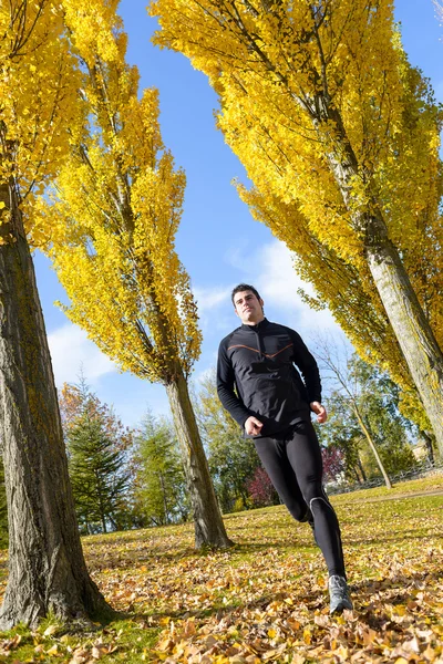 Sportsman running in autumn — Stock Photo, Image
