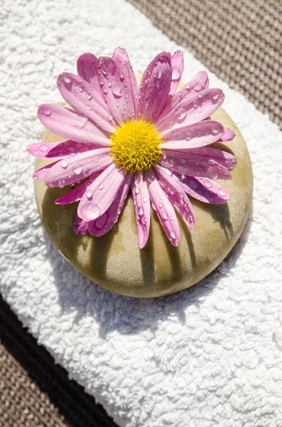 Beautiful spa wet flower stone and towel — Stock Photo, Image