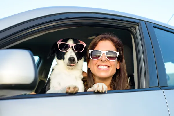 Donna divertente con cane in macchina Fotografia Stock