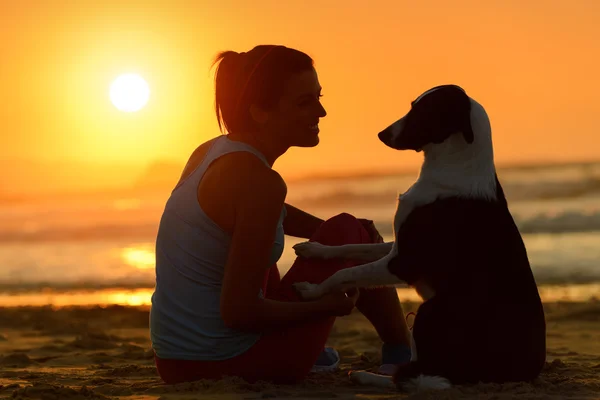 Kadın ve köpek gün batımında beraber — Stok fotoğraf