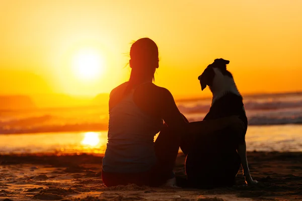 女性と夏の太陽を探している犬 — ストック写真