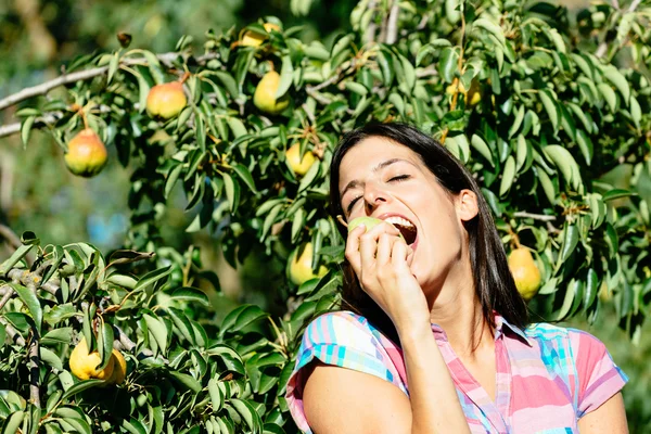 Female farmer eating fruit from pear tree — Stock Photo, Image