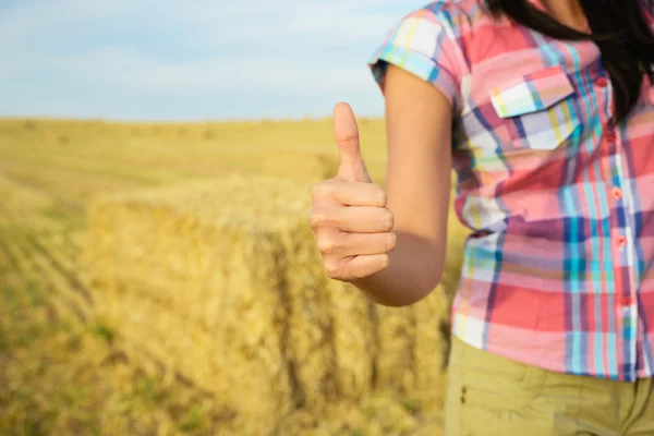 Successo nel concetto di impresa agricola — Foto Stock