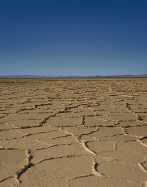 çöl wasteland