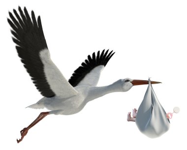 Leylek ve bebek