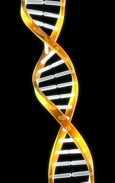 A double helix strand of dna with black background for copyspace. — Stock Photo, Image