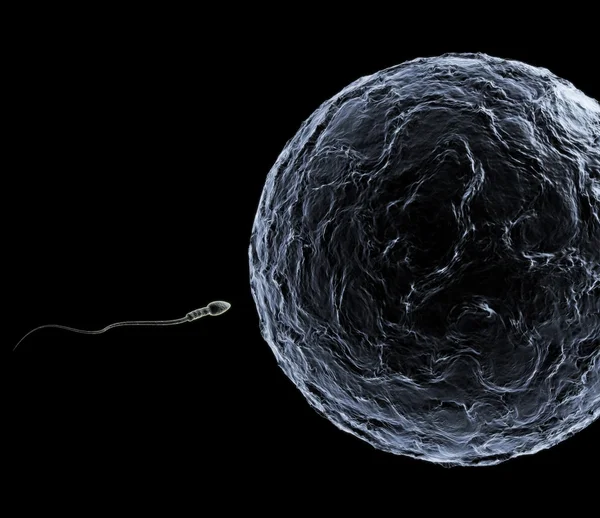 Sperm & Egg — Stock Photo, Image