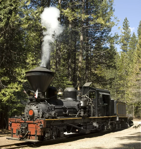 Locomotiva a vapor — Fotografia de Stock