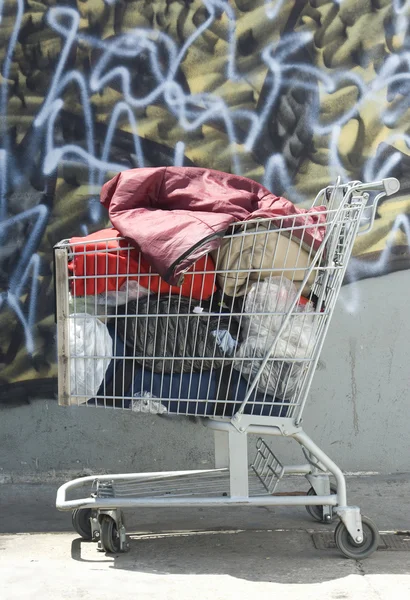 Carrinho de compras sem abrigo — Fotografia de Stock