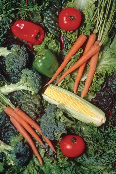 Vegetables — Stock Photo, Image