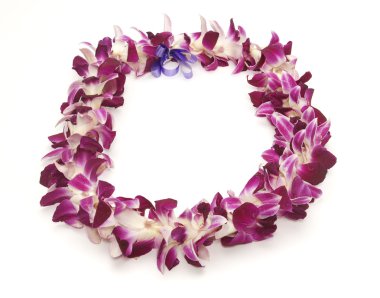 Hawaiian lei
