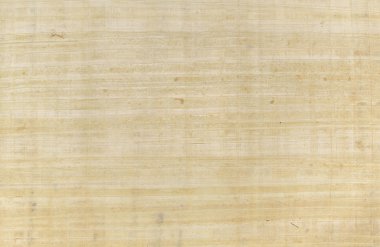 papirüs yakın çekim