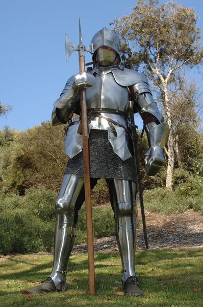 Knight standing with battle axe — Stock Photo, Image