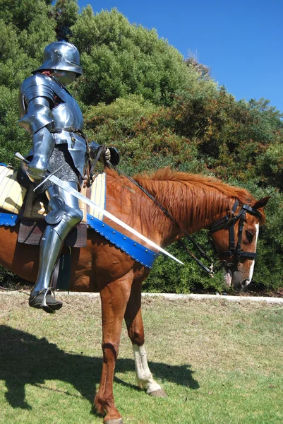 马背上的骑士 — 图库照片