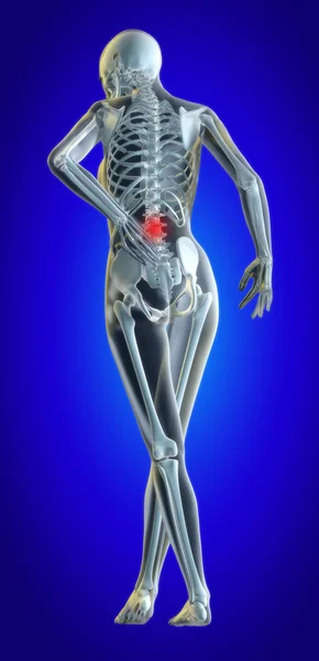 Lower spine — Stock Photo, Image