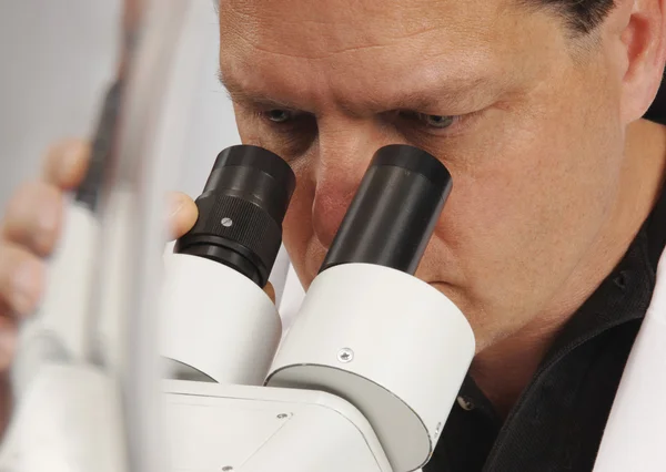 Microscopist — Stok fotoğraf