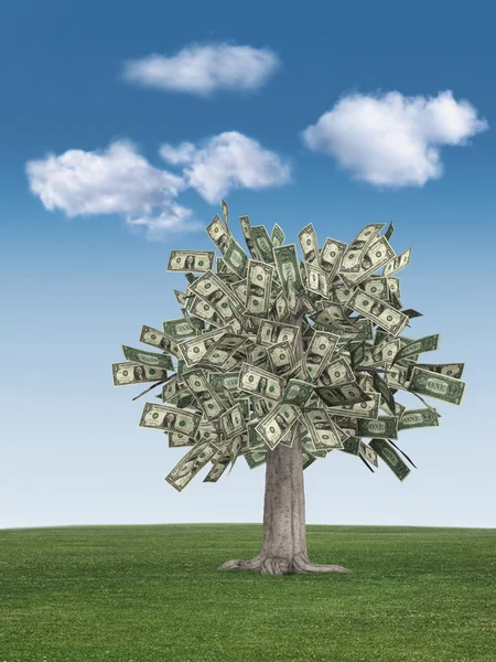 Money tree & blue sky — Stock Photo, Image