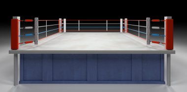 Boks arena