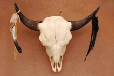 Pueblo boğa kafatası