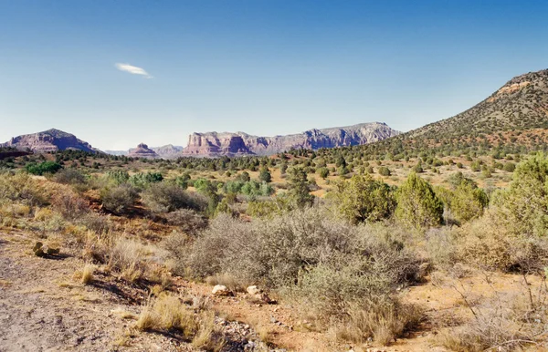 Arizona Çölü — Stok fotoğraf