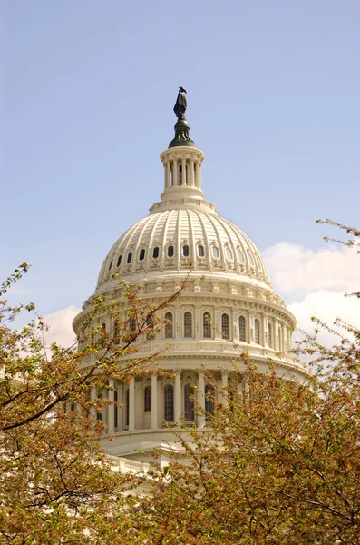 Capitol Dome — Stok fotoğraf