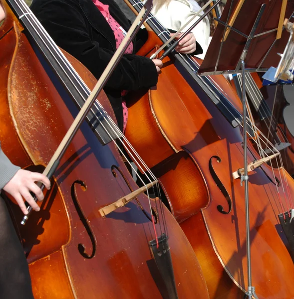 Cellists — Stock Photo, Image