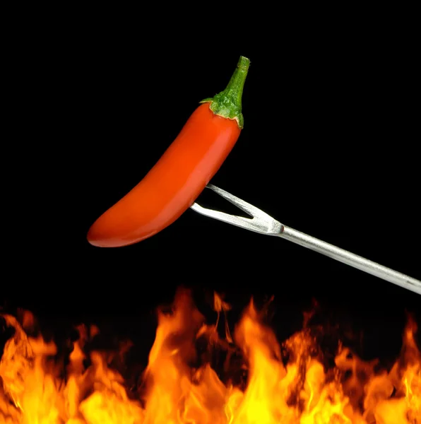 Flaming chili peper — Stockfoto