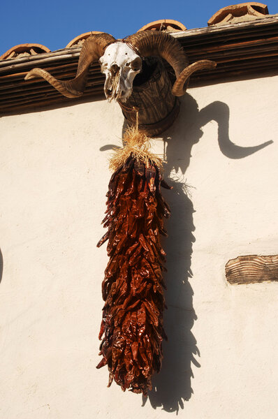 hanging chili peppers