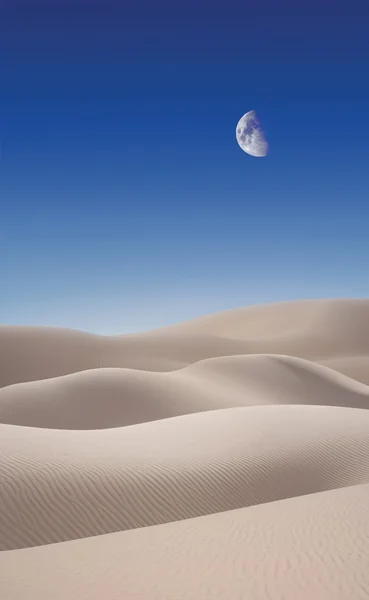 Desert Dunes — Stock Photo, Image