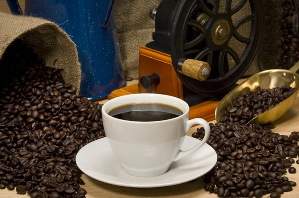 Coffee Landscape — Stock Photo, Image