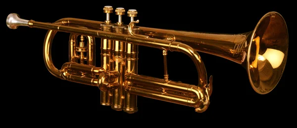 Cornet on black — Stock Photo, Image