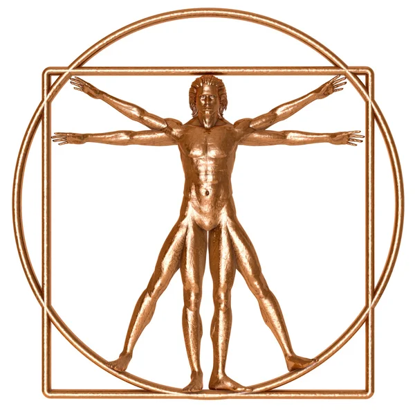 Bronze Vitruvian Man — Stock Photo, Image