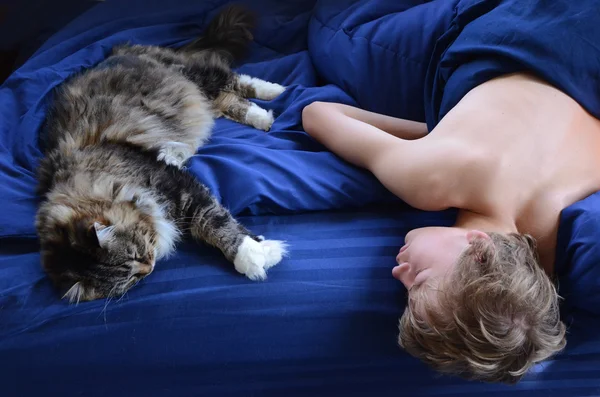 猫の昼寝 ロイヤリティフリーのストック画像
