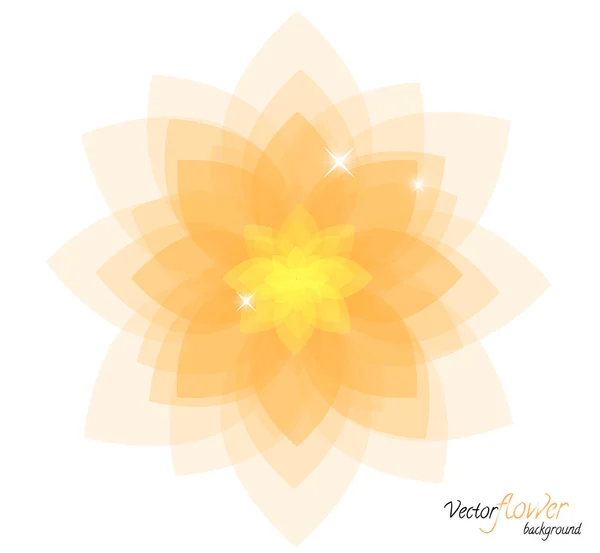 Vector lotos flower — Stock Vector
