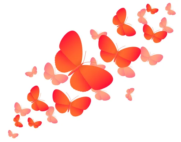 Orange gefärbte Schmetterlinge auf weiß - Vektorillustration — Stockvektor