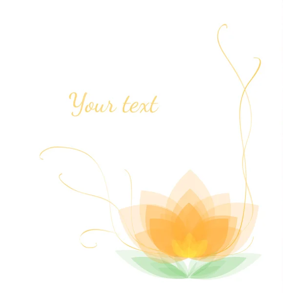 Lotus ve beyaz arka plan