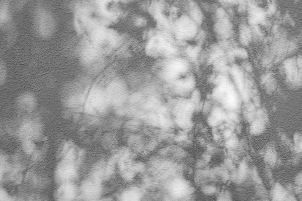 テクスチャ壁の影は ロイヤリティフリーのストック写真