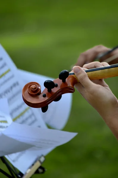 Violin head with music score — Stock Photo, Image