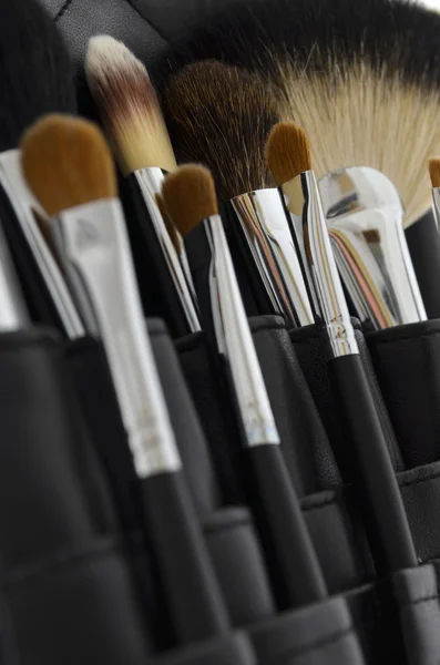 Étui de maquillage professionnel avec brosses — Photo