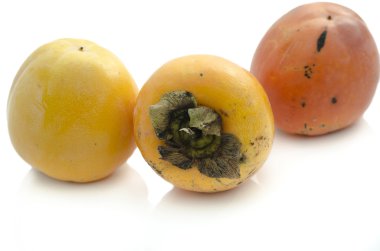 persimmons