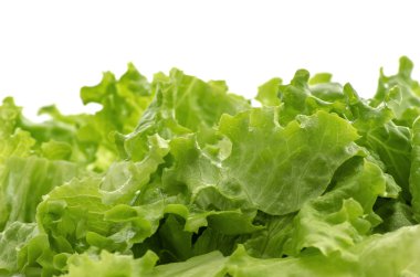 ıslak yeşil salata