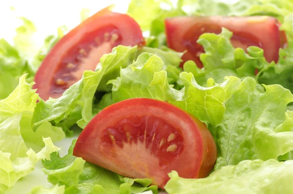 Tomatoes and lettuce salad — Stock Photo, Image