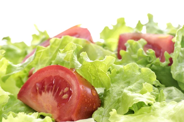 Wet tomatoes and lettuce salad — Stock Photo, Image