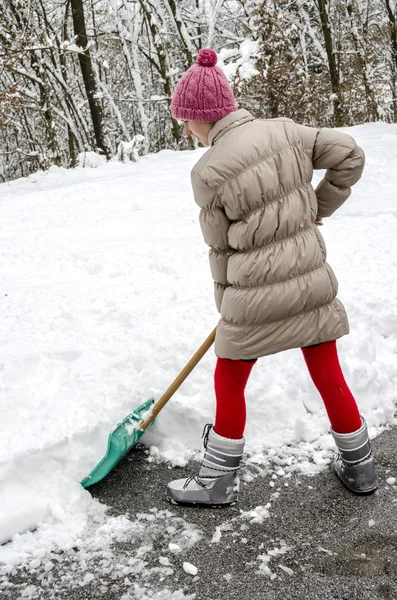 Pá neve — Fotografia de Stock