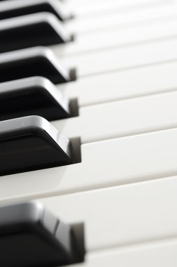 Piyano klavyesinin ayrıntıları
