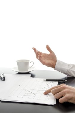 finansal raporlar