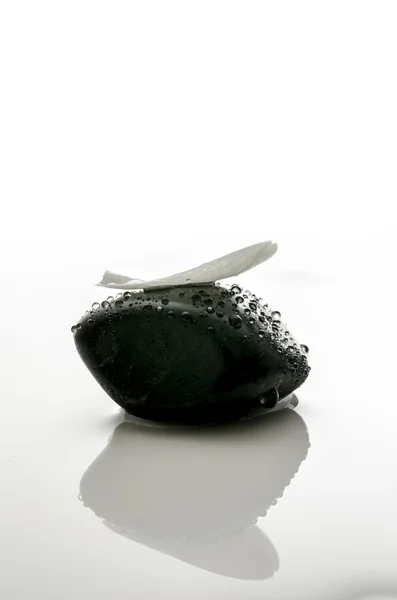 Bílý lístek na černé lázně kámen — Stock fotografie