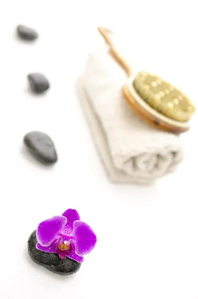 Wellness instelling met roze orchid — Stockfoto