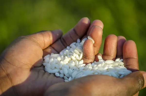 Concepto de hambre en África — Foto de Stock