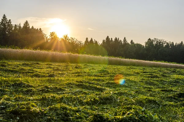 Solnedgång och vackra landskap — Stockfoto